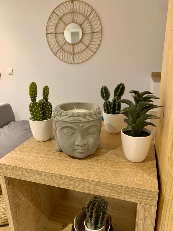 Studio Cosy Kaysersberg Centre ภายนอก รูปภาพ